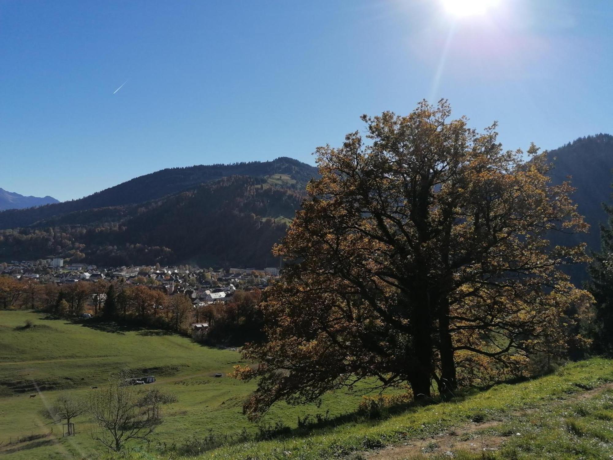 Landhaus Auf der Höh Immenstadt im Allgäu Exterior foto